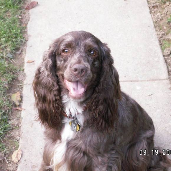 Meet your Posher, Wendy - Picture 1 of 1